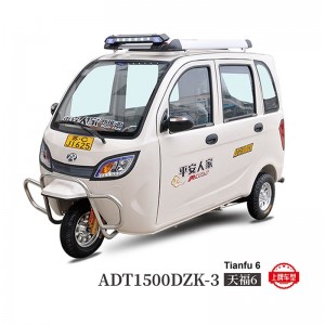 平安人家电动车ADT1500DZK-3天福6